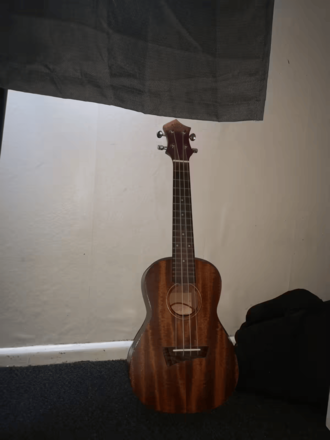 Renting out: Ukulele
